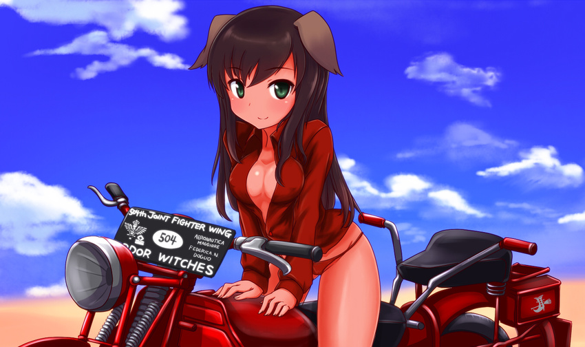 a9b_(louis814) animal_ears breasts cleavage federica_n_doglio motorcycle open_shirt strike_witches