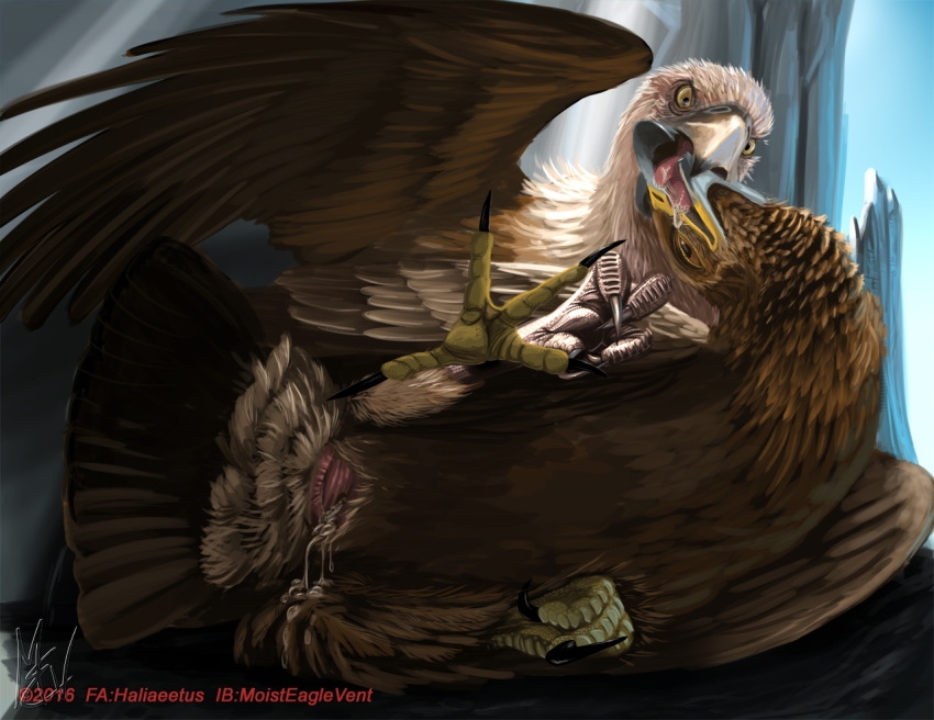 2016 ambiguous/ambiguous ambiguous_gender animal_genitalia avian bird cloaca detailed_background digital_media_(artwork) duo eagle feathered_wings feathers feral feral_on_feral french_kissing golden_eagle half-closed_eyes interspecies kissing lying moisteaglevent mountain on_side open_mouth saliva signature smile talons text tongue tongue_out vulture wings
