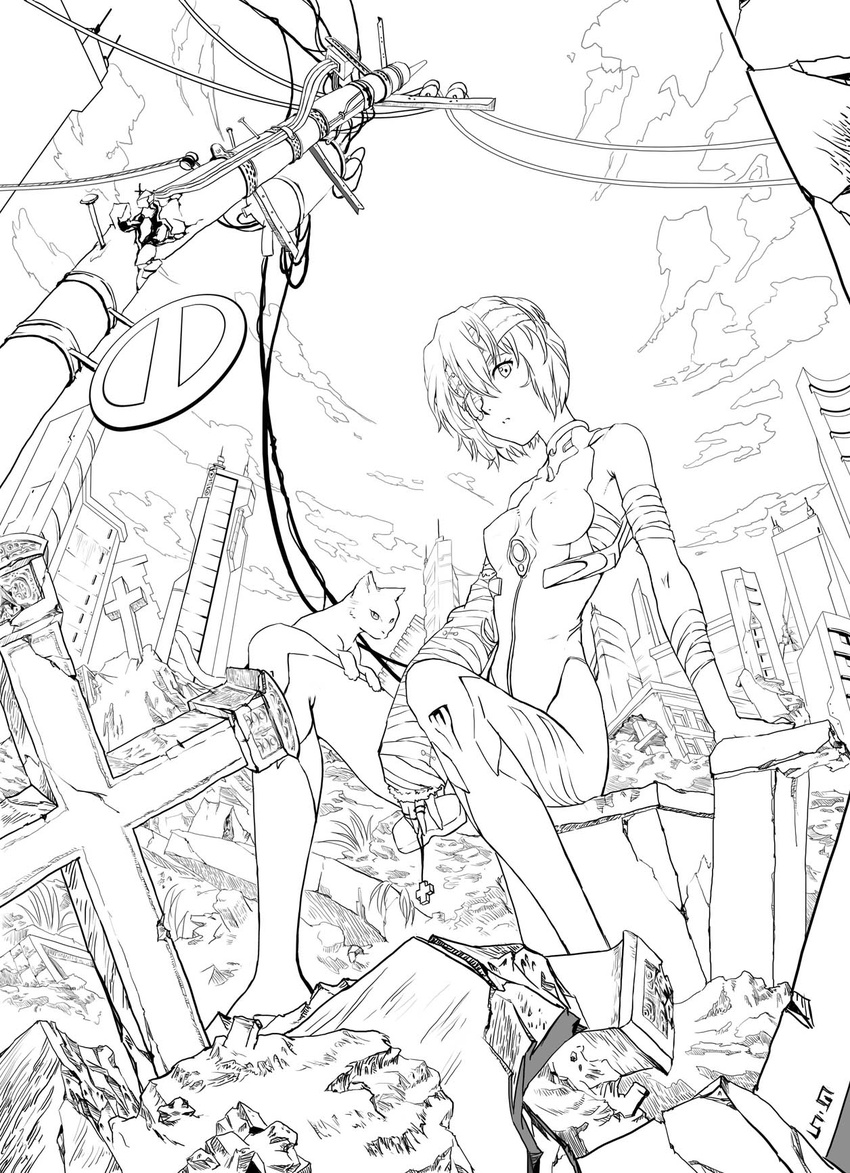 as109 ayanami_rei bad_id bad_pixiv_id bandage_over_one_eye bandages breasts building cat cross fisheye greyscale head_tilt highres looking_at_viewer monochrome neon_genesis_evangelion plugsuit power_lines road_sign rubble ruins short_hair sign skyscraper small_breasts solo telephone_pole transformer