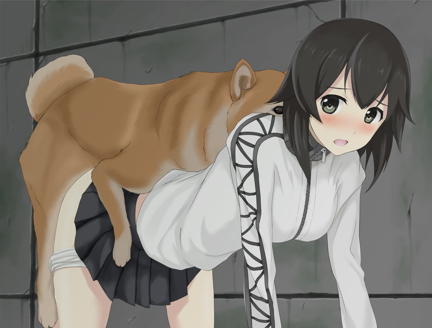 1girl all_fours alley animal bestiality black_eyes black_hair blush clothed_sex commentary_request dog doggystyle hayasui_(kantai_collection) hetero interspecies kantai_collection looking_back miniskirt mozu_(pixiv12188108) open_mouth pleated_skirt skirt solo_focus zipper