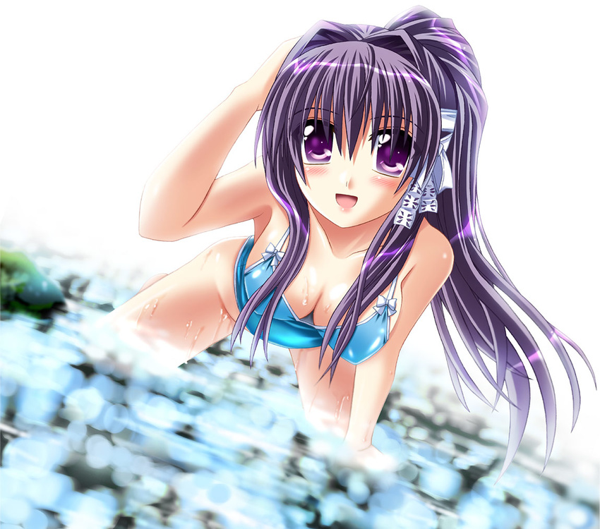 all_fours bent_over breasts clannad cleavage downblouse dutch_angle fujibayashi_kyou long_hair medium_breasts otoki_raku partially_submerged ponytail purple_eyes purple_hair ribbon swimsuit water