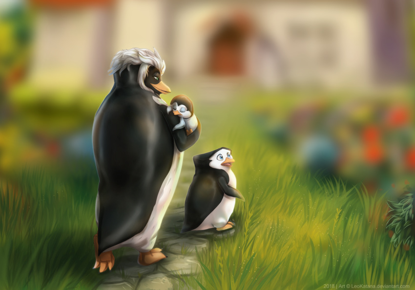 avian bird blue_eyes dreamworks feral grass green_eyes hair leokatana madagascar nigel out_of_focus penguin private skipper sleeping the_penguins_of_madagascar walking white_hair young