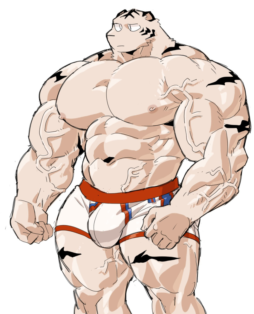 2019 5_fingers abs anthro biceps bulge clothing digital_media_(artwork) felid fur hi_res kemono male mammal muscular muscular_male nipples pantherine pecs simple_background solo syukapong tiger underwear white_fur