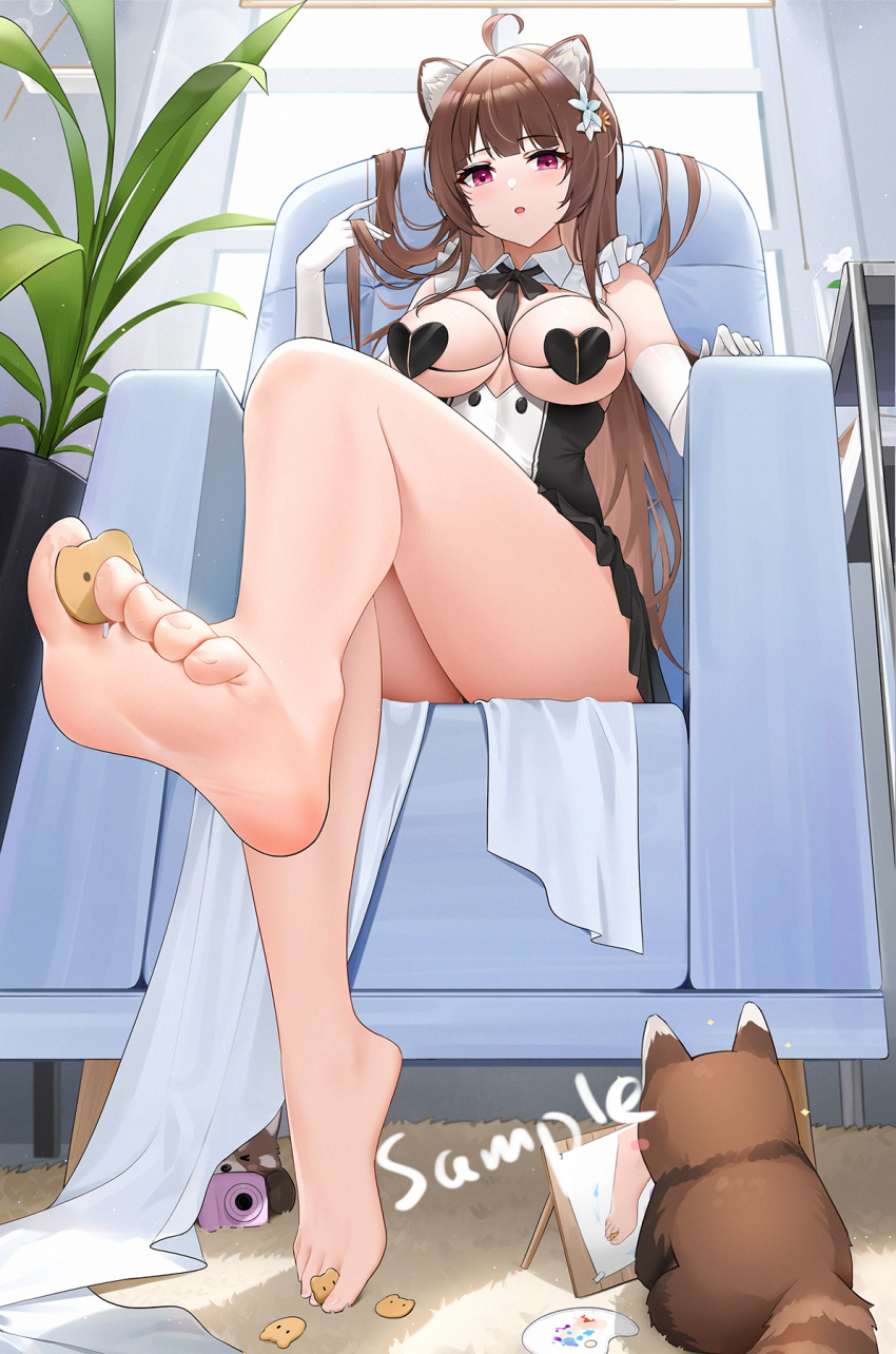 1girl :o ahoge animal_ears bare_legs barefoot between_toes black_bow black_bowtie black_dress blunt_bangs bow bowtie brown_hair camera carpet collared_dress cookie couch drawing dress easel elbow_gloves eoe feet flower food foot_focus from_below full_body gloves hair_flower hair_ornament hair_spread_out hand_in_own_hair hand_up heart_pasties highres holding holding_camera holding_cookie holding_food holding_with_feet indoors kemonomimi_mode long_hair looking_at_viewer on_couch palette_(object) pasties plant potted_plant qing_wu raccoon_ears red_eyes red_panda short_dress sitting sleeveless sleeveless_dress solo two-tone_dress underbust virtual_youtuber wan'er_(eoe) white_dress white_flower white_gloves