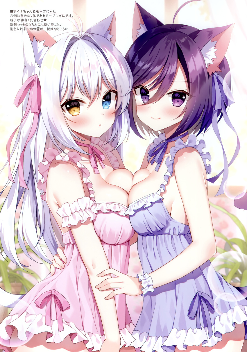 2girls :o absurdres ahoge aina_rive animal_ear_fluff animal_ears antenna_hair babydoll bare_shoulders blue_eyes blush breast_press breasts cat_ears cat_girl cat_tail cleavage closed_mouth collarbone double-parted_bangs frilled_babydoll frills hair_between_eyes hair_intakes hair_ornament heterochromia highres indoors large_breasts lingerie long_hair looking_at_viewer mauve multiple_girls neck_ribbon nightgown no_bra open_mouth original parted_lips pink_ribbon purple_eyes purple_hair purple_ribbon ribbon short_hair sidelocks smile symmetrical_docking tail translation_request underwear very_long_hair white_hair yellow_eyes
