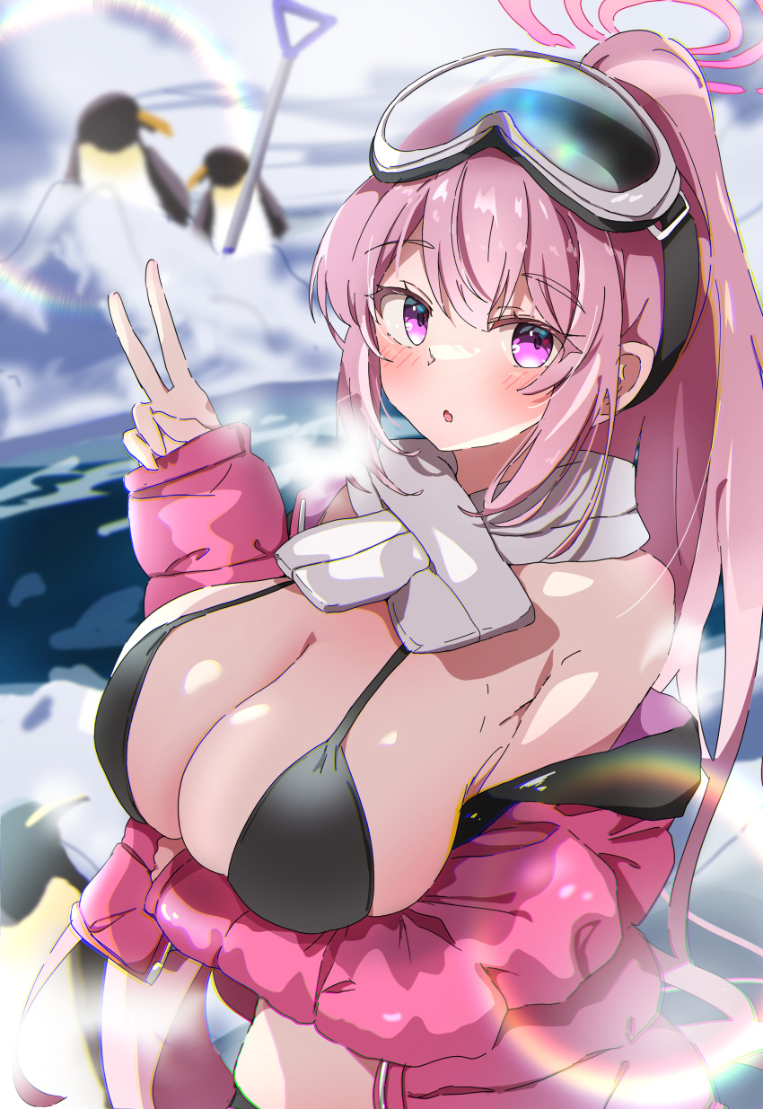 1girl absurdres animal bikini bird black_bikini blue_archive blush breasts cleavage eimi_(blue_archive) eimi_(swimsuit)_(blue_archive) goggles goggles_on_head halo highres jacket large_breasts long_hair long_sleeves looking_at_viewer natsukari_na official_alternate_costume open_clothes open_jacket open_mouth outdoors penguin pink_eyes pink_hair pink_halo pink_jacket ponytail scarf shovel solo swimsuit v very_long_hair white_scarf