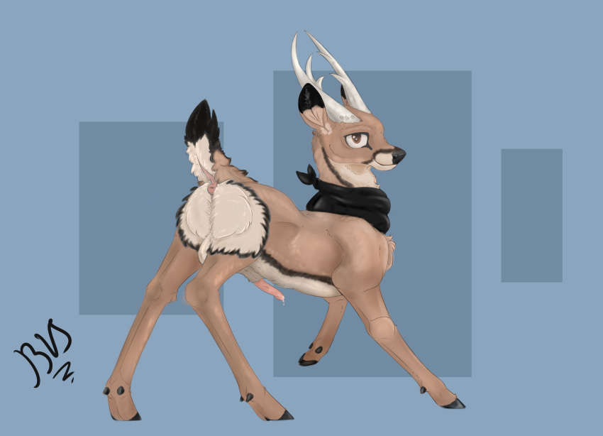 absurd_res action_pose anus balls bodily_fluids colored deer digital_drawing_(artwork) digital_media_(artwork) feral fluffy fluffy_ass fluffy_tail genital_fluids genitals hi_res horn line_art male mammal penis pinky_bestia pose precum raised_tail scarf simple_background solo tail