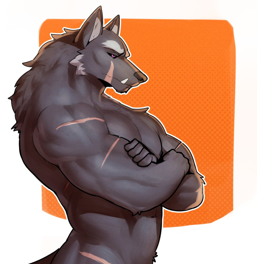 2024 anthro biceps black_body black_fur black_sclera blaidd_(elden_ring) canid canine canis crossed_arms elden_ring facial_scar fangs fromsoftware fur half-length_portrait hi_res jrjresq male mammal muscular muscular_anthro muscular_male nipples nude pecs pinup portrait pose purple_eyes scar sharp_teeth solo standing teeth triceps wolf