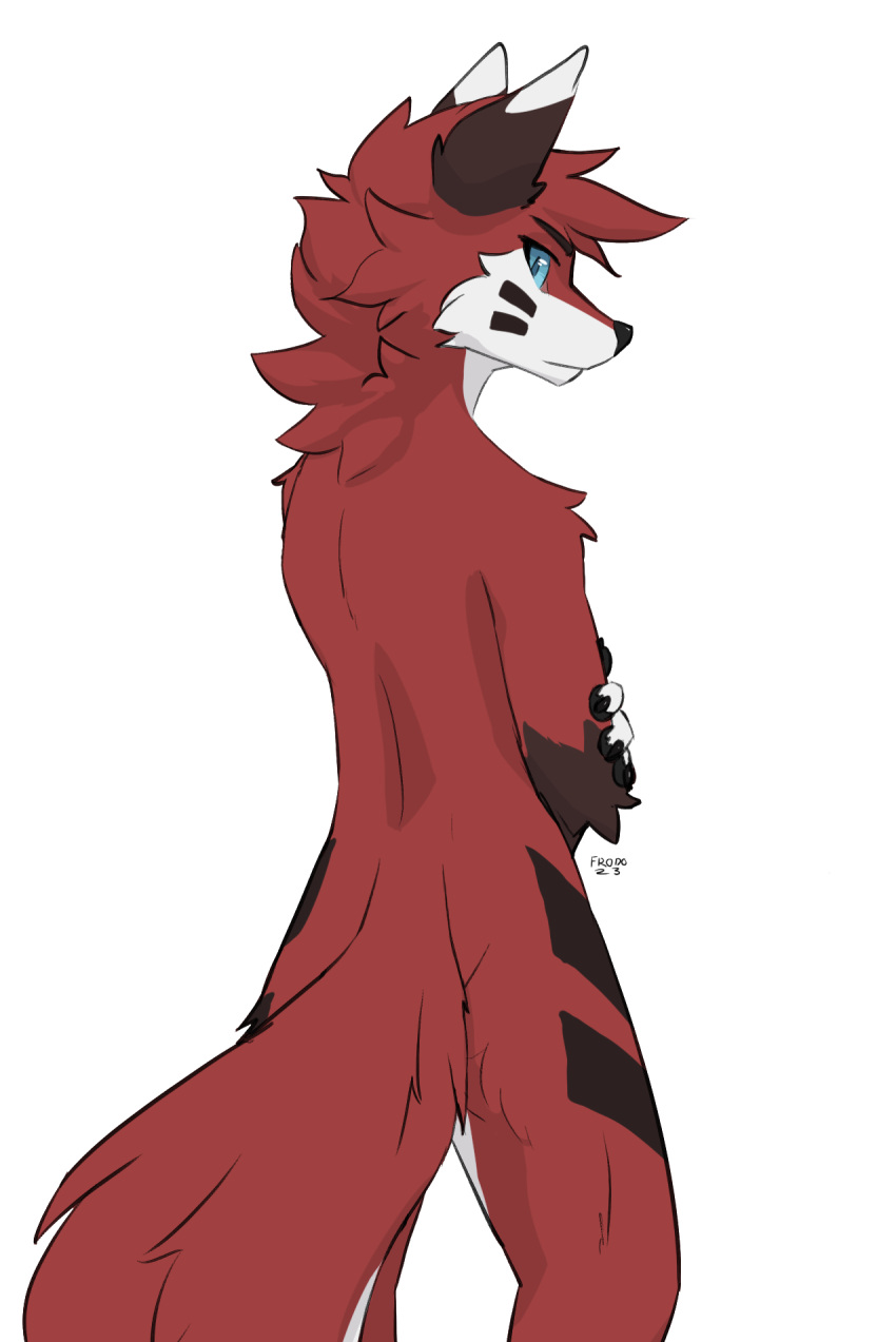 alpha_channel anthro biped canid canine cel_shading cheek_markings crossed_arms digital_media_(artwork) digitigrade facial_markings fox fur hair head_markings hi_res leg_markings looking_at_viewer looking_back male mammal markings neutral_expression nude outline rear_view red_body red_fox red_fur shaded simple_background solo standing superfrodo tail teal_eyes thigh_markings transparent_background white_body white_fur white_outline
