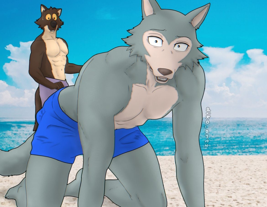 abs all_fours anthro beach beastars bodily_fluids canid canine canis clothing diko_artz dreamworks duo legoshi_(beastars) looking_at_another's_butt looking_at_viewer looking_surprised male male/male mammal mr._wolf_(the_bad_guys) muscular muscular_male outside pecs sea seaside sweat sweatdrop swimwear the_bad_guys water wolf yellow_sclera
