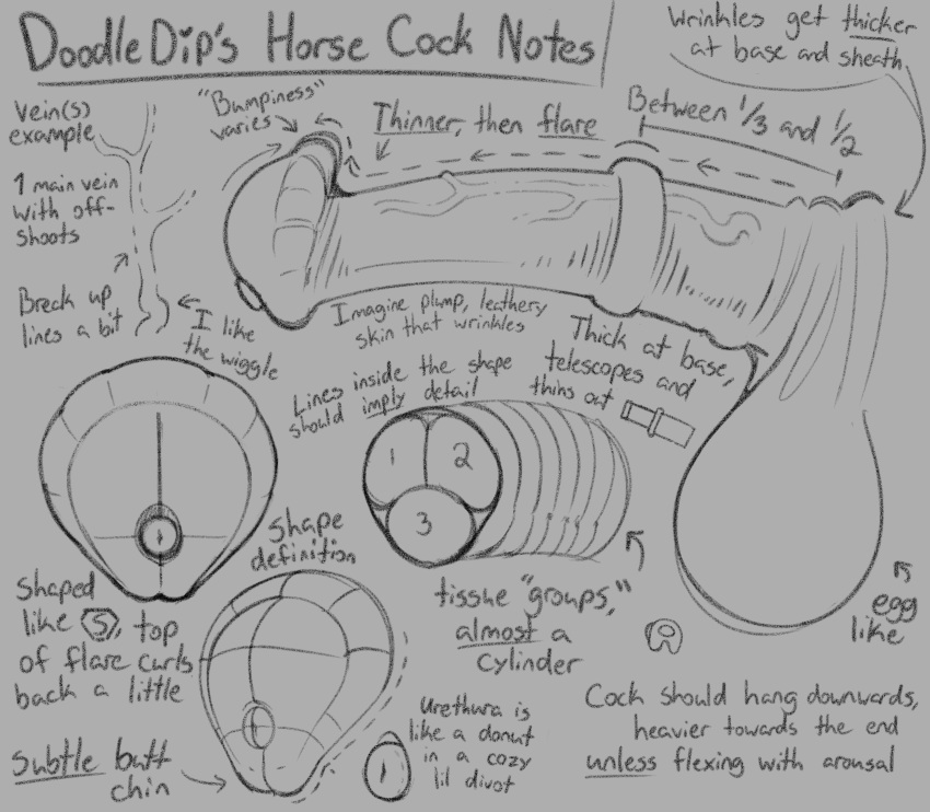 2024 absurd_res animal_genitalia animal_penis balls doodle_dip english_text equine_genitalia equine_penis erection genitals grey_background hi_res how-to medial_ring monochrome penis simple_background text vein veiny_penis