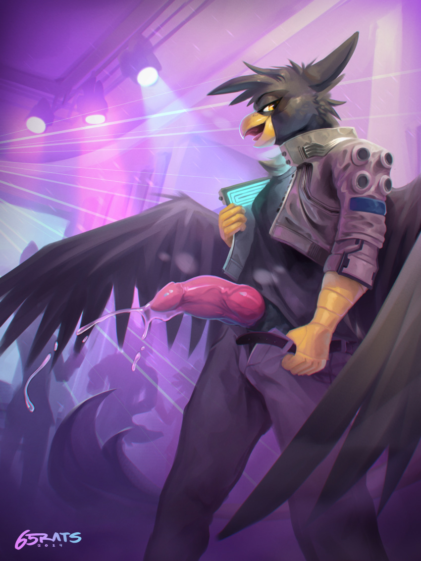 anthro avian beak belt big_penis bodily_fluids bomber_jacket bottomwear bottomwear_down clothed clothing erection feathered_wings feathers genital_fluids genitals grey_body grey_feathers gryphon hi_res jacket lights looking_at_viewer male mythological_avian mythological_creature mythology nightclub open_beak open_mouth pants pants_down partially_clothed penis precum rave solo st4rs6 standing tail topwear vein veiny_penis wings