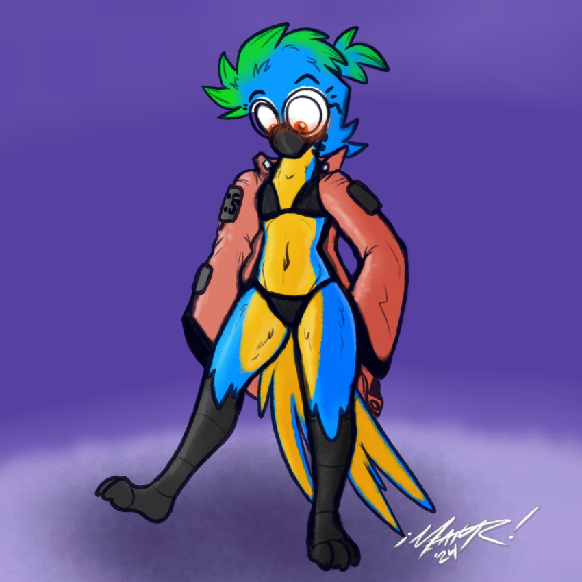 3_toes anthro ara_(genus) avian avian_feet belly bikini bioluminescence bird blue-and-yellow_macaw blue_body clothing eyewear facial_markings feet flustered_male girly glasses glowing green_highlights head_markings hi_res highlights_(coloring) jacket longsleeve macaw male markings meatyr meme meme_clothing mitchell_(meatyr) neotropical_parrot orange_eyes parrot round_glasses simple_background solo swimwear toes topwear true_parrot yellow_belly