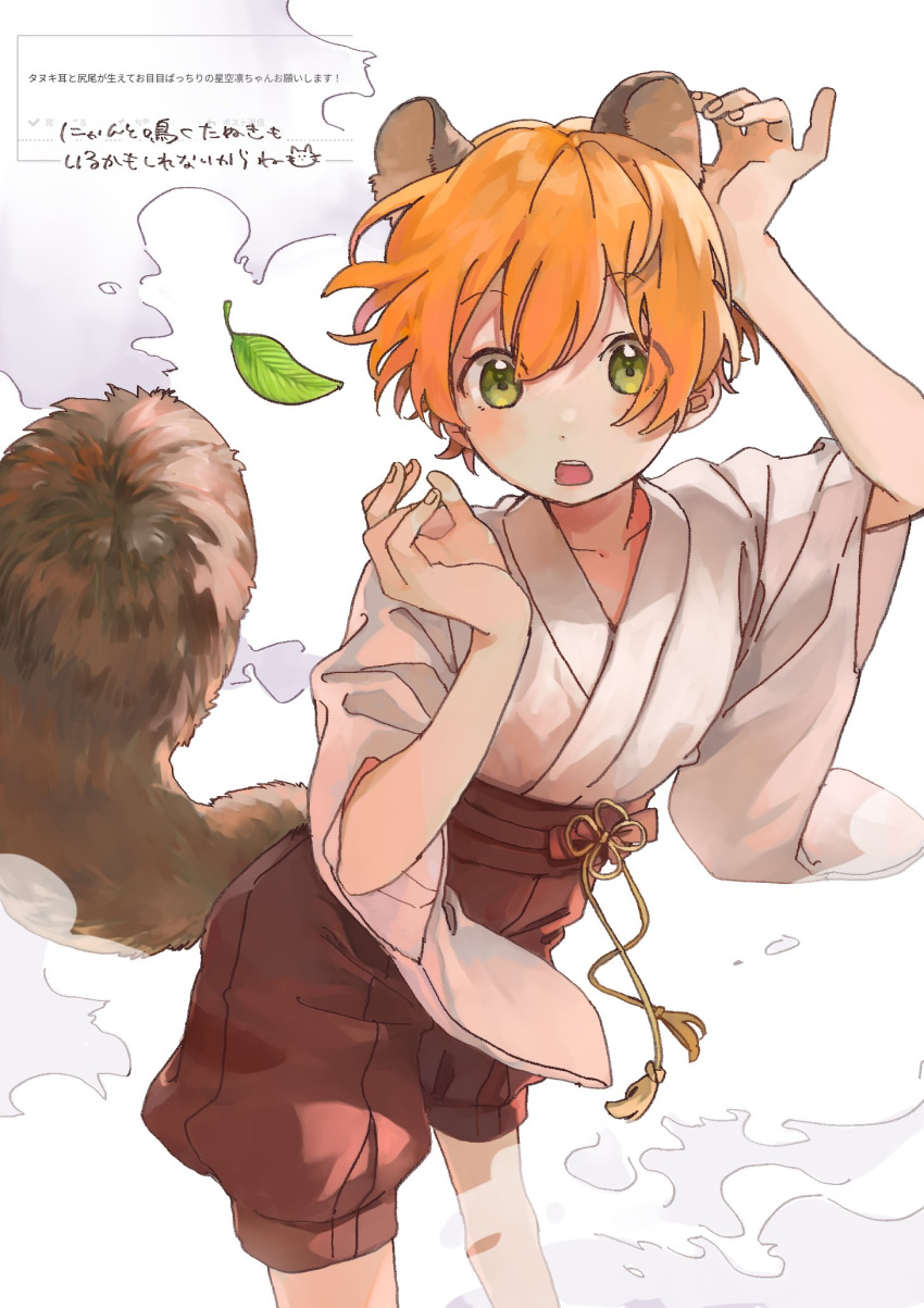 1girl animal_ears collarbone commentary double-parted_bangs green_eyes hand_on_own_head hand_up highres hoshizora_rin japanese_clothes kimono leaf looking_at_viewer love_live! love_live!_school_idol_project obi open_mouth orange_hair pants puffy_shorts raccoon_ears raccoon_girl raccoon_tail red_shorts request_inset rinrin_johann sash short_hair shorts smoke solo tail teeth translation_request upper_teeth_only white_background white_kimono wide_sleeves