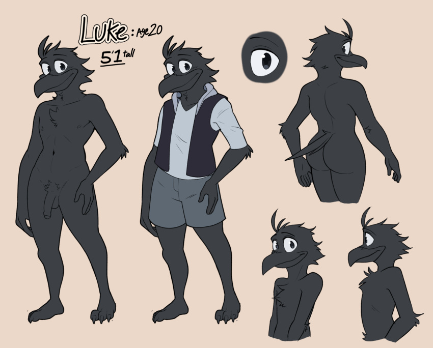 anthro avian beak bird black_beak black_body black_eyes black_feathers bottomwear butt clothing corvid corvus_(genus) crow elfein feathers luke_(elfein) male model_sheet oscine passerine shirt shorts smile solo text topwear