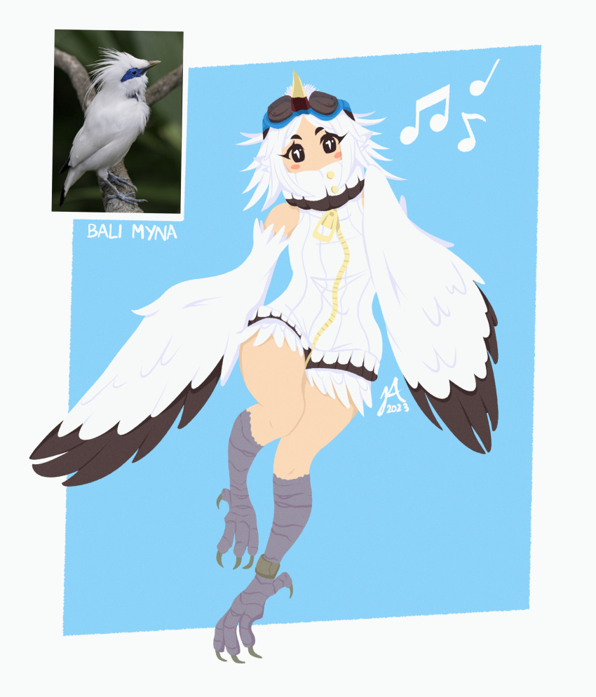 1girl anklet bare_shoulders beamed_eighth_notes bird_legs black_feathers blue_background blush_stickers bright_pupils commentary creature_and_personification dress eighth_note english_commentary fake_beak feathers goggles goggles_on_head harpy highres jaya_(lightklok) jewelry lightklok medium_hair monster_girl musical_note parted_bangs quarter_note reference_sheet sleeveless sleeveless_dress solo talons two-tone_background two-tone_wings white_background white_dress white_feathers white_hair white_pupils white_wings winged_arms wings zipper_dress zipper_pull_tab