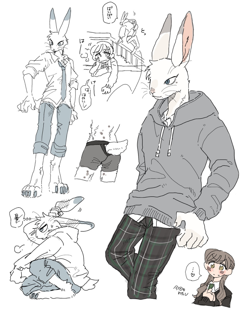 1boy 1girl animal_ears animal_feet black_pants blue_eyes body_fur brown_eyes brown_hair claws closed_mouth collared_shirt commentary_request cropped_legs furry furry_male grey_hoodie highres hood hood_down hoodie long_hair long_sleeves multiple_views original pants partially_colored plaid plaid_pants rabbit_boy rabbit_ears rabbit_tail rata_(norahasu) school_uniform shirt short_sleeves simple_background speech_bubble standing tail translation_request whiskers white_background white_fur