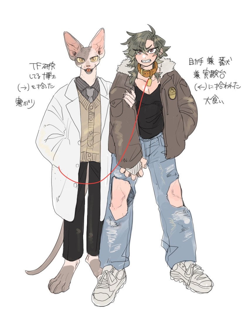 1boy 1girl animal_collar animal_ears arm_grab black_pants brown_cardigan brown_collar brown_eyes brown_jacket cardigan cat_boy cat_ears cat_tail clenched_teeth coat collar collared_coat collared_shirt colored_sclera commentary_request denim full_body furry furry_male green_hair grey_shirt hand_in_pocket highres holding holding_leash jacket jeans leash long_hair looking_at_viewer open_mouth original pants rata_(norahasu) shirt simple_background slit_pupils sphynx_(cat) standing striped_clothes striped_shirt tail teeth torn_clothes torn_jeans torn_pants translation_request white_background white_coat yellow_eyes yellow_sclera