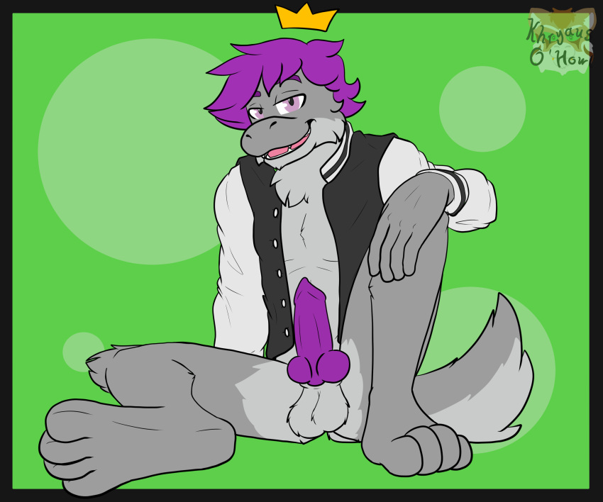 absurd_res anthro balls clothed clothing digital_media_(artwork) erection fur genitals hair hi_res khryaus_o'howl_(artist) king_(crmlcd) looking_at_viewer male nintendo paws penis simple_background smile smug solo tail topwear