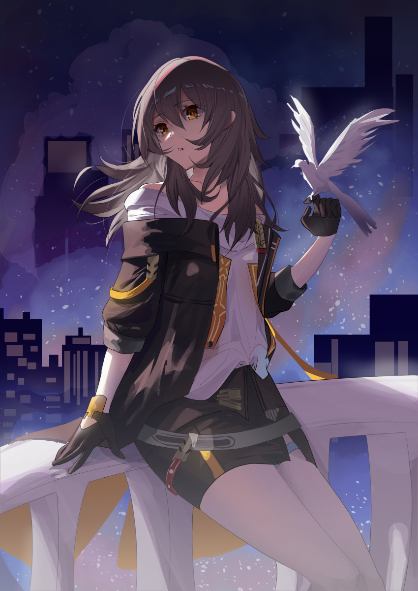 1girl absurdres bird bird_on_hand black_gloves black_jacket black_skirt commentary gloves grey_hair head_tilt highres honkai:_star_rail honkai_(series) jacket long_hair long_sleeves miaooon miniskirt off-shoulder_shirt off_shoulder open_clothes open_jacket parted_lips pencil_skirt shirt sitting skirt solo stelle_(honkai:_star_rail) trailblazer_(honkai:_star_rail) white_shirt yellow_eyes