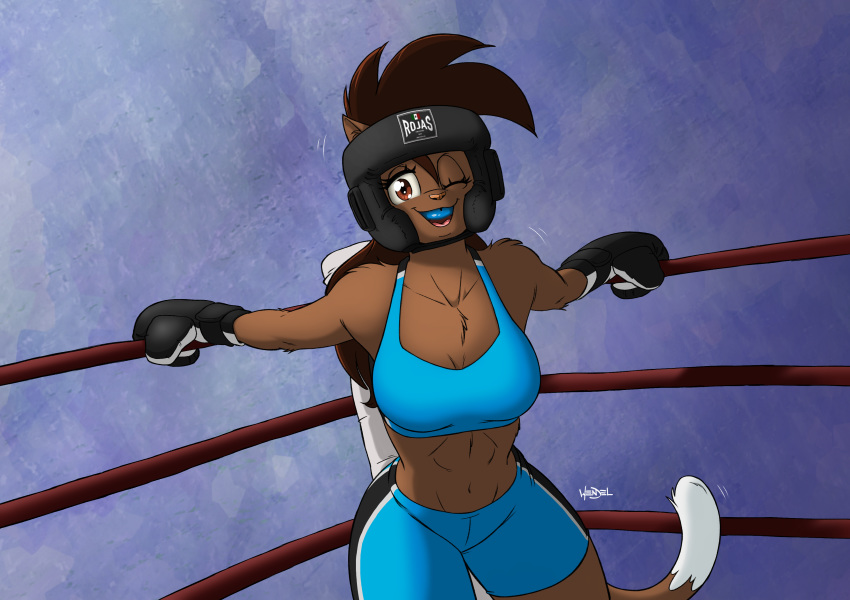 2019 absurd_res anthro boxing boxing_gloves bra brown_eyes brown_fur brown_hair brown_tail cat clothing deborah_bispo dipstick_tail eyebrows eyelashes feline female fighting_ring fur hair headwear hi_res looking_at_viewer mammal mouth_guard multicolored_tail navel one_eye_closed open_mouth open_smile shorts signature smile solo sport sports_bra underwear wendel_fragoso white_tail wink