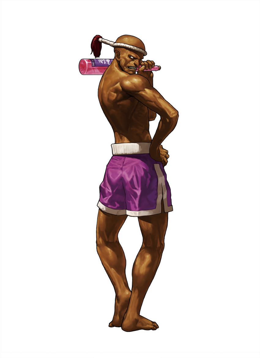 eisuke_ogura hwa_jai king_of_fighters king_of_fighters_xiii male snk transparent_png
