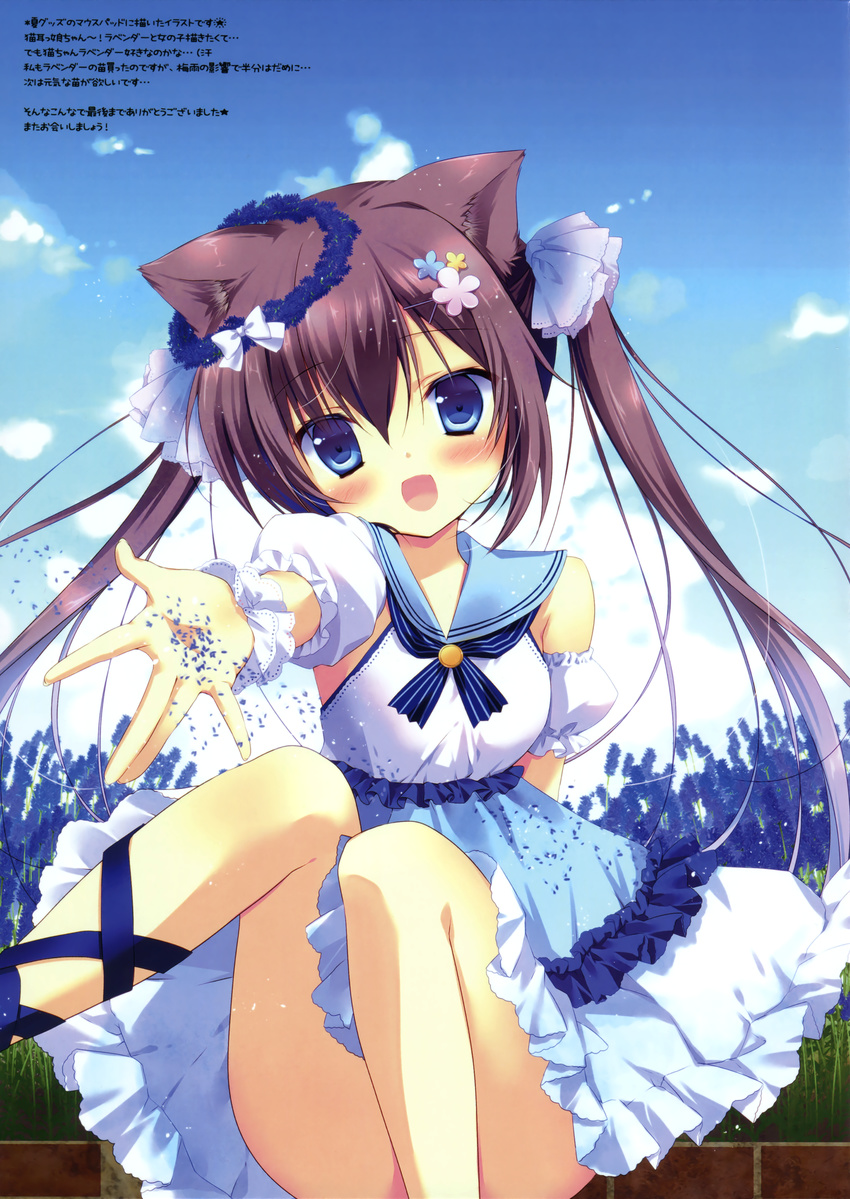 animal_ears canvas+garden dress miyasaka_miyu nekomimi neneka_(canvas+garden)