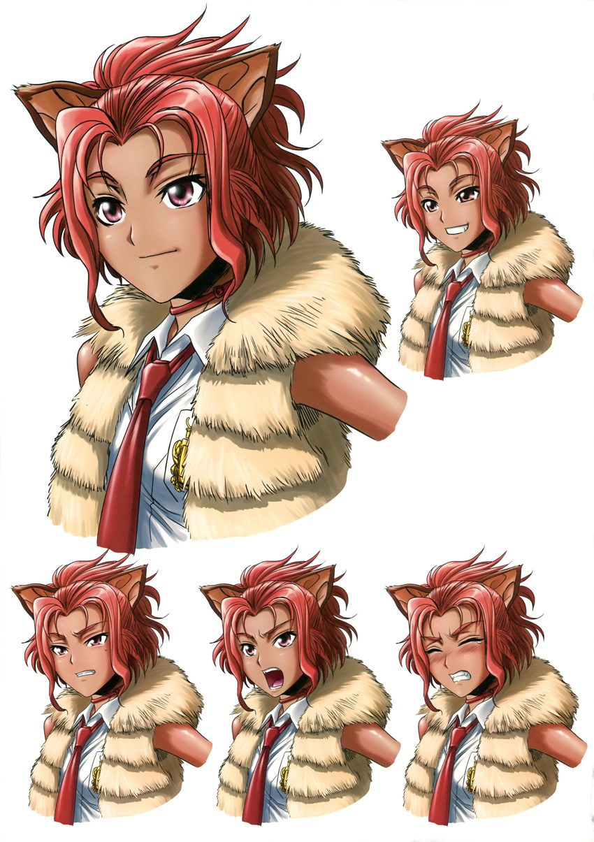 animal_ears character_design hiroe_rei tagme