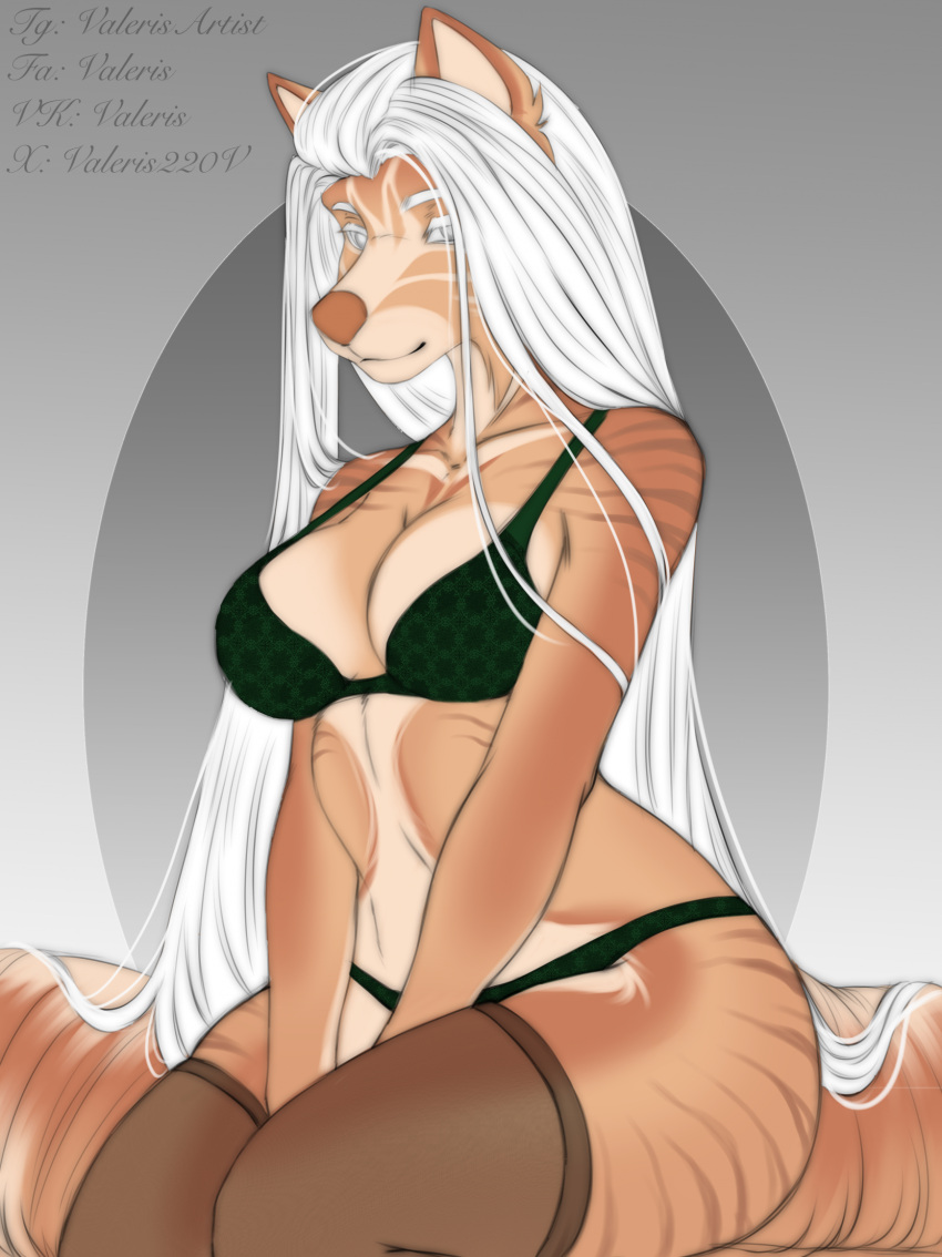 anthro bra breasts canid canine canis clothing collarbone colored colored_sketch digital_drawing_(artwork) digital_media_(artwork) domestic_dog eyebrows female fur green_bra green_clothing green_panties green_underwear hair hi_res legwear long_hair looking_at_viewer mammal markings medium_breasts orange_body orange_fur orange_markings orange_nose panties simple_background sitting sketch snout solo stockings underwear valeris white_eyebrows white_eyes white_hair