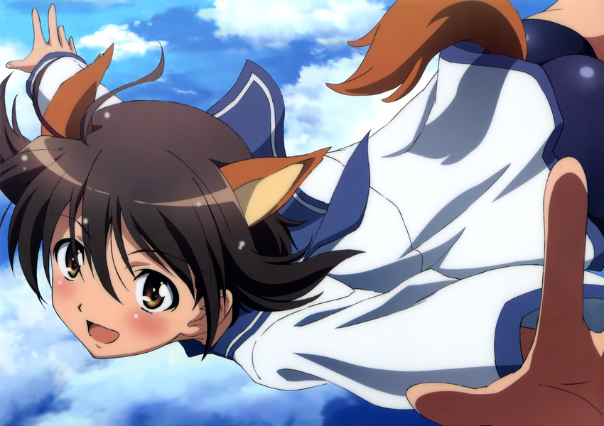 animal_ears inumimi miyafuji_yoshika strike_witches tail