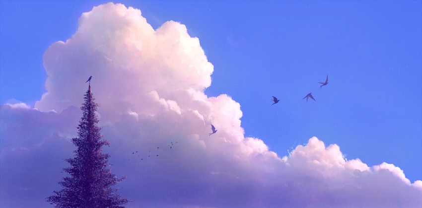 bird blue blue_sky cloud nature no_humans original pine_tree sakimori_(hououbds) scenery sky sunrise tree