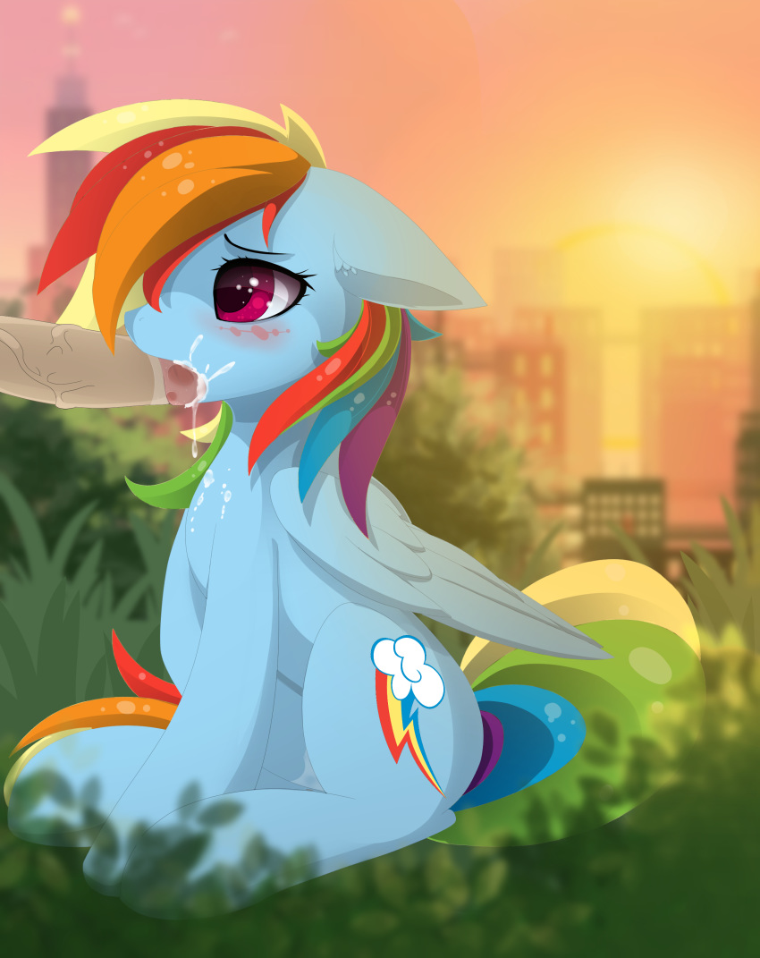 2019 absurd_res blush cum cum_in_mouth cum_inside cutie_mark disembodied_penis equine erection feathered_wings feathers fellatio female feral friendship_is_magic grass hair hi_res humanoid_penis jewelry landscape male mammal my_little_pony oral outside pegasus penis posionjoke rainbow_dash_(mlp) sex sky solo sunset wings