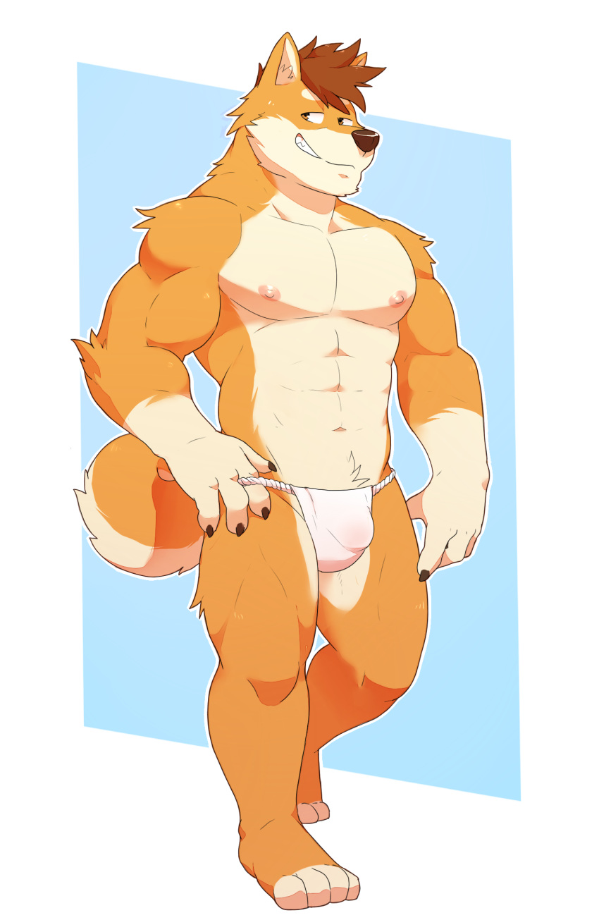 2018 4_fingers 4_toes anthro brown_eyes brown_fur brown_hair bulge canine clothing dog front_view fundoshi fur grin hair hi_res japanese_clothing looking_aside male mammal muscular muscular_male nipples o-ro penis_outline shiba_inu shiranai smile solo standing toes underwear