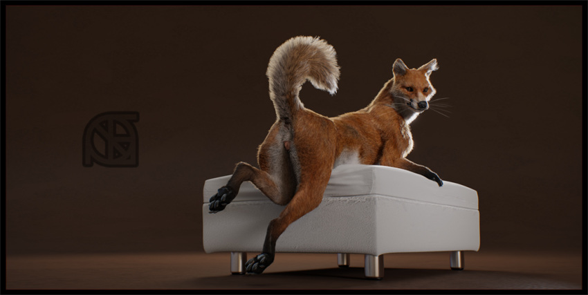 3d_(artwork) animal_genitalia animal_pussy anthro anus butt canine canine_pussy cosmiclife digital_media_(artwork) feet female feral fox fur katsumi looking_at_viewer mammal ottoman paws pinup pose presenting presenting_anus presenting_hindquarters presenting_pussy pussy raised_tail realistic semi-anthro solo whiskers