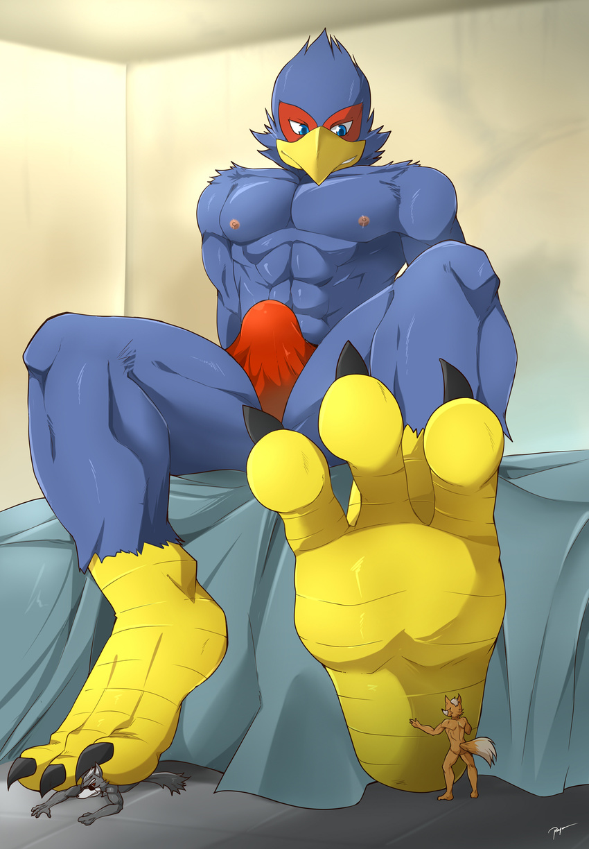 abs anthro avian beak bed biceps bird blue_eyes blue_feathers brown_fur bulge canine clothed clothing falco_lombardi feathers feet foot_fetish foot_worship fox fox_mccloud fur grey_fur group hair kuroshinki lying male male/male mammal micro muscular nintendo nipples nude on_front pecs sitting size_difference smile speedo standing star_fox swimsuit talons topless video_games white_fur white_hair wolf wolf_o'donnell