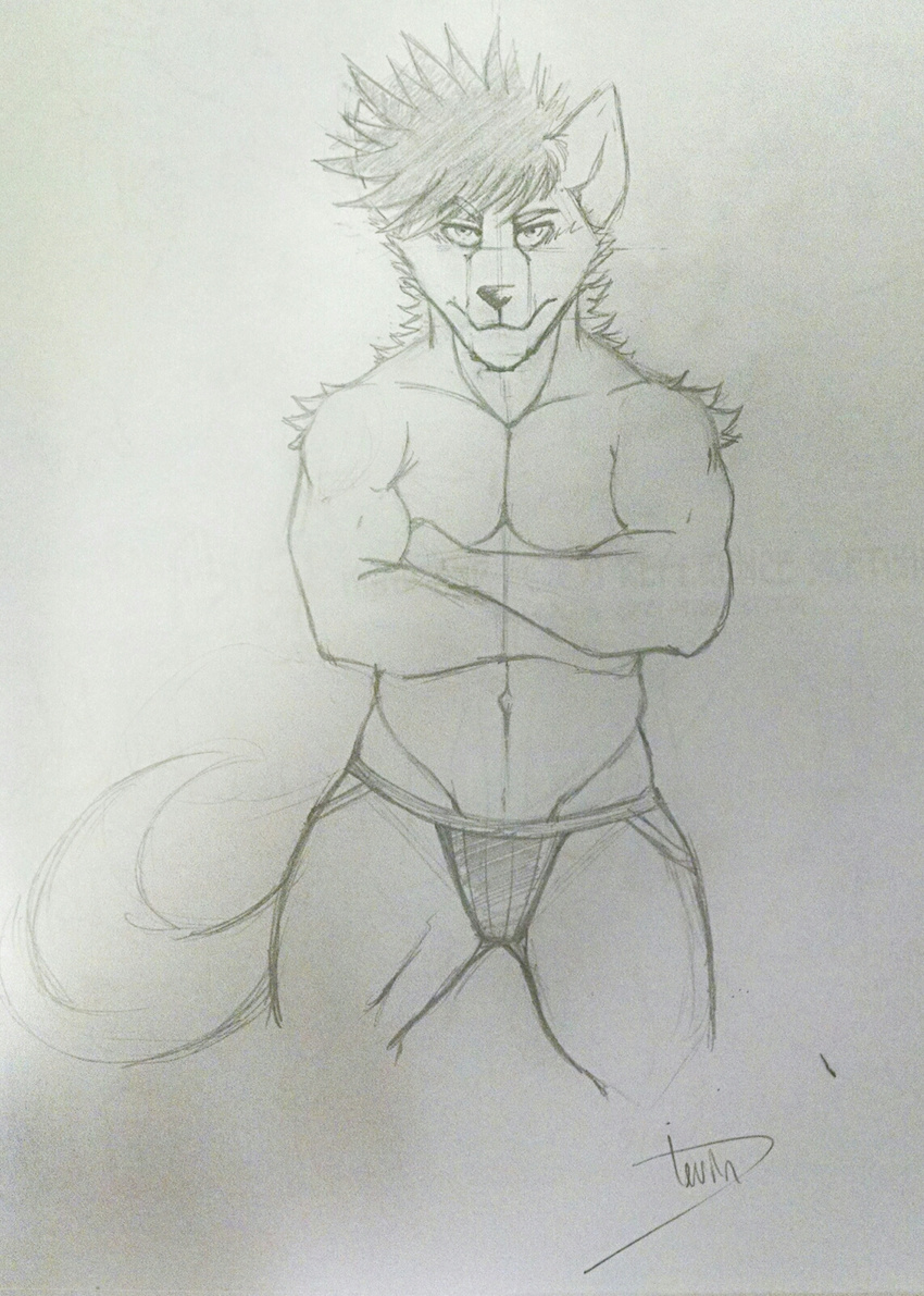 belly canine clothed clothing crossed_arms crotch dismissive_expression elbows eyebrows fur furry_tail hair hi_res invalid_tag looking_at_viewer mammal navel pointy_ears pointy_hair sketch solo thong underwear wide_hips wolf wolfybuns