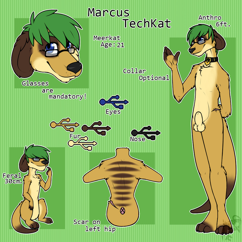 animal_genitalia animal_penis anthro balls coldheartedhero collar copy-paste_genitalia eyewear feral glasses green_hair hair hi_res male mammal marcus_techkat meerkat model_sheet mongoose pattern_background penis scar sheath simple_background solo