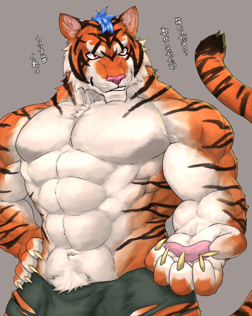 abs anthro biceps big_muscles black_fur blue_hair chest_tuft claws clenched_teeth clothed clothing digital_media_(artwork) feline flakjacket0204 flexing fur grey_background hair hand_on_hip handpaw hi_res japanese_text looking_away male mammal multicolored_fur muscular orange_fur paws pecs pink_nose portrait post_transformation pubes raised_tail red_eyes shorts simple_background smile solo standing striped_fur stripes teeth text tiger topless torn_clothing translation_request tuft vein whiskers white_fur