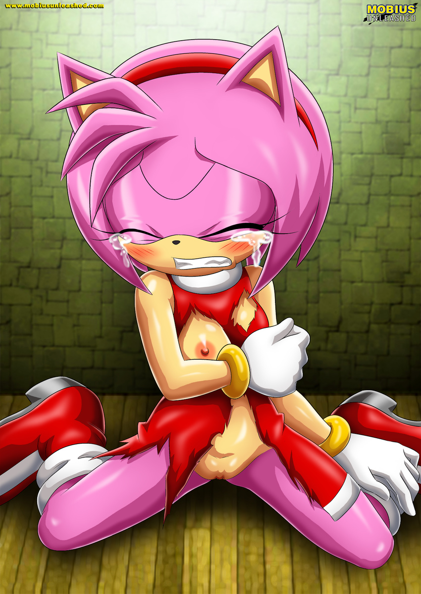 2016 amy_rose areola bbmbbf blush bracelet breasts clitoris clothing crying digital_media_(artwork) dress erect_nipples female footwear forced gloves hairband hedgehog hi_res high_heels imminent_rape jewelry mammal mobius_unleashed nipples palcomix pussy rape shoes solo sonic_(series) tears torn_clothing