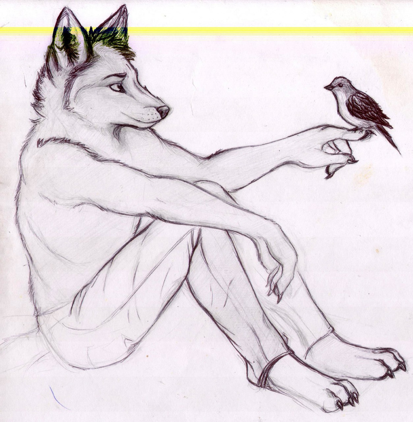 3_toes anonymous anthro arm_on_leg athletic avian barefoot bird canine carrying claws clothed clothing digitigrade duo ear_tuft eye_contact feral hi_res male mammal pants pen_(artwork) relaxing scene side_view simple_background sitting size_difference sketch toe_claws toes topless traditional_media_(artwork) tuft white_background wolf