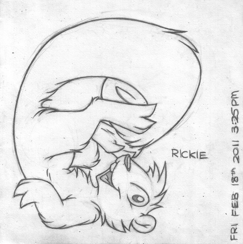 2011 absurd_res anthro barefoot buckteeth buttonverse cub english_text fluffy_tail greyscale hi_res looking_at_viewer male mammal mizzyam monochrome nude open_mouth pencil_(artwork) rickie_squirrel rodent shoulder_stand side_view smile solo squirrel tasteful_nudity teeth text traditional_media_(artwork) upside_down young