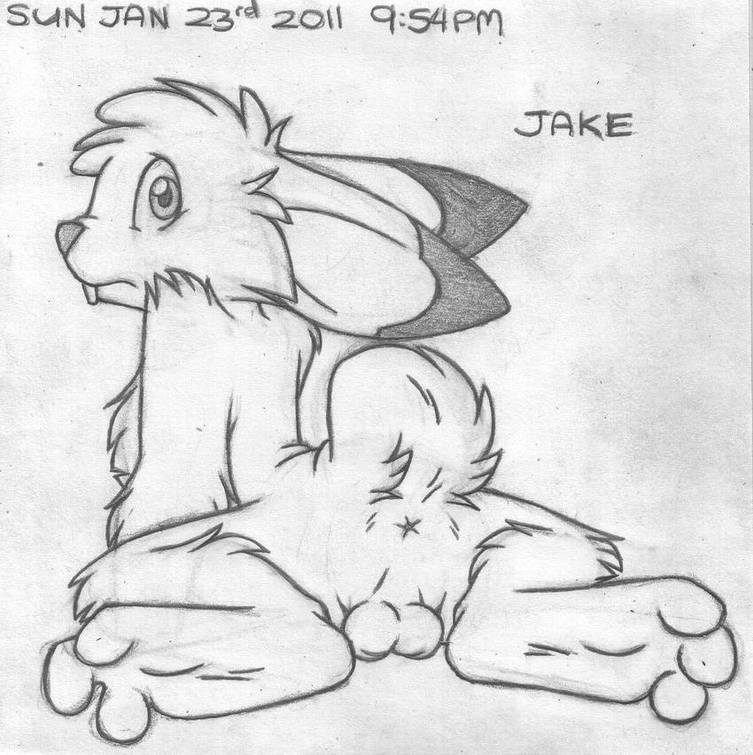 2011 absurd_res anthro anus backsack balls barefoot buckteeth butt english_text greyscale hi_res jake_cottontail lagomorph looking_at_viewer looking_back lying male mammal mizzyam monochrome nude on_front pencil_(artwork) perineum rabbit raised_tail rear_view solo spread_legs spreading teeth text traditional_media_(artwork)