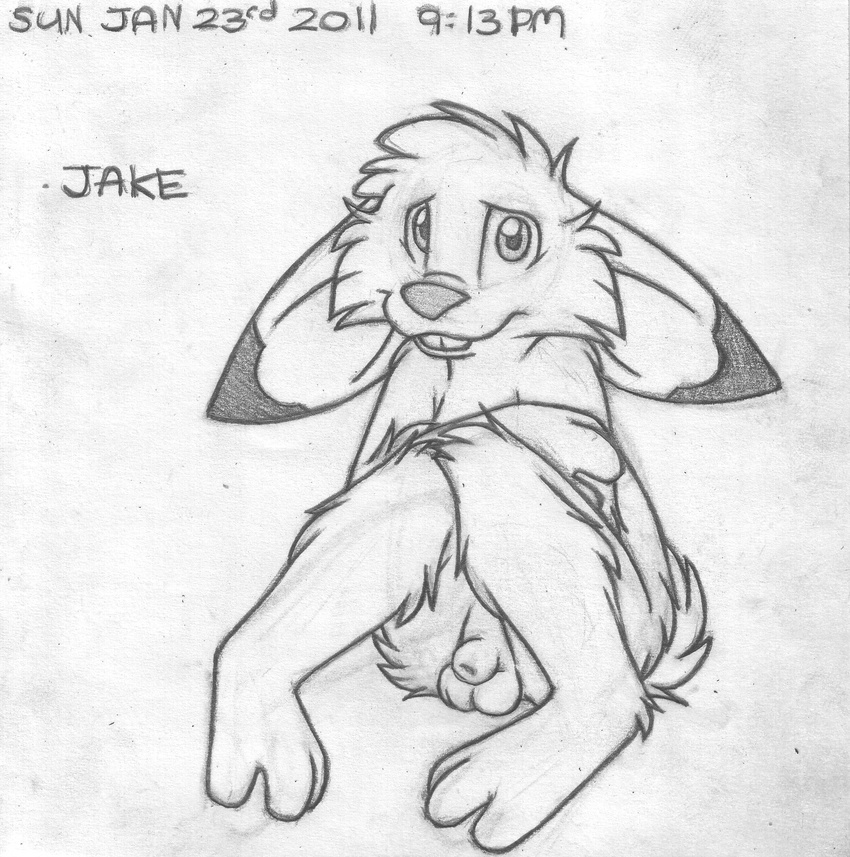 absurd_res animal_genitalia animal_penis anthro balls barefoot buckteeth crossed_arms english_text front_view greyscale hi_res jake_cottontail lagomorph looking_at_viewer male mammal mizzyam monochrome nude pencil_(artwork) penis rabbit sheath shy sitting smile solo teeth text traditional_media_(artwork)