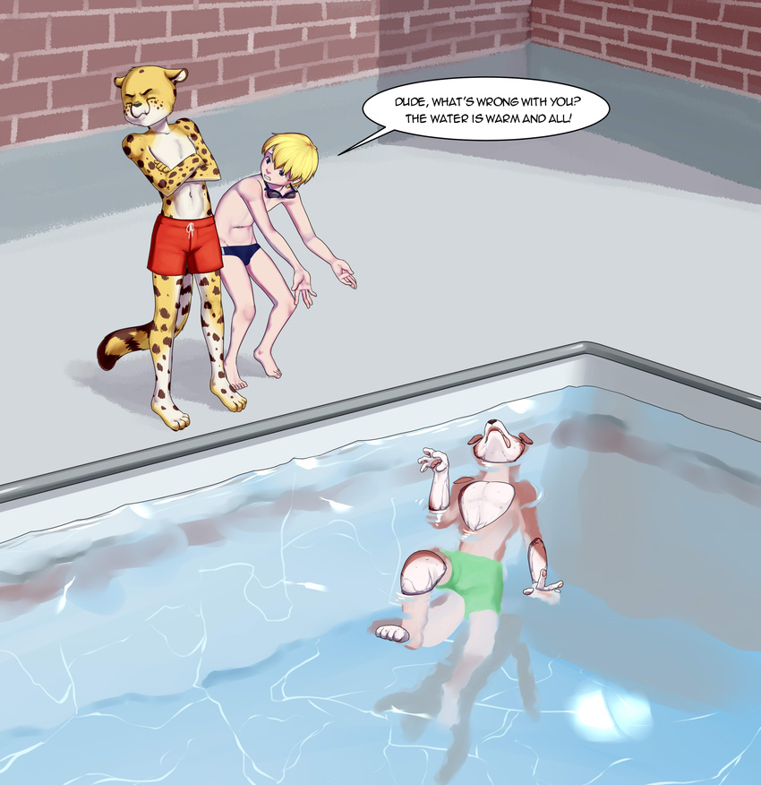 2016 absurd_res anthro aogami canine cheetah clothed clothing detailed_background digital_media_(artwork) dog feline group hair hi_res human male mammal speech_bubble speedo swimming_pool swimsuit water young