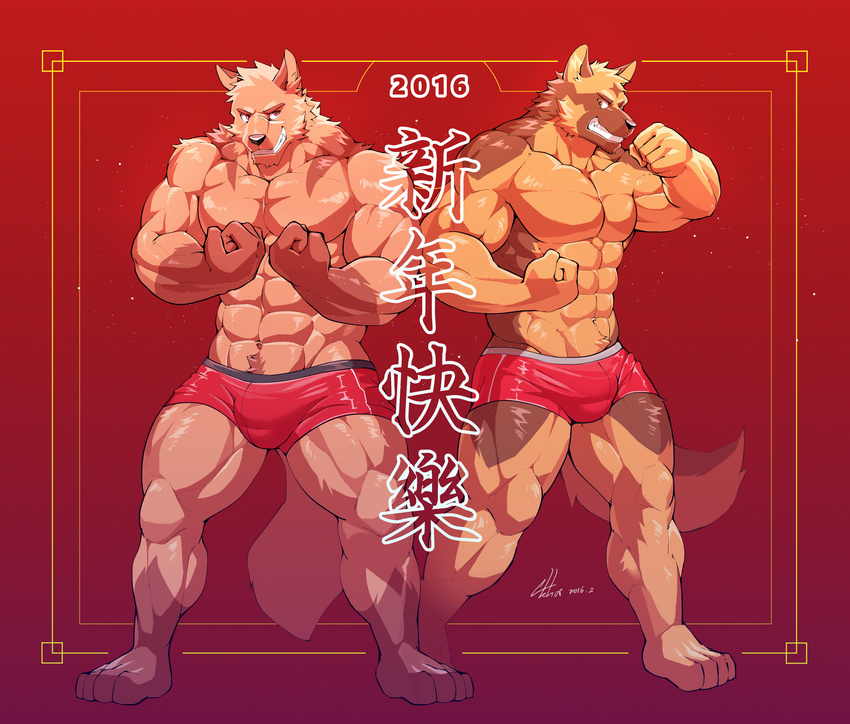 2016 abs abstract_background absurd_res anthro barefoot biceps big_muscles black_nose boxers_(clothing) brown_fur canine canyne_khai chinese_text clothed clothing digital_media_(artwork) dog flexing fur german_shepherd hi_res male mammal muscular muscular_male pecs signature smile standing teeth text topless underwear