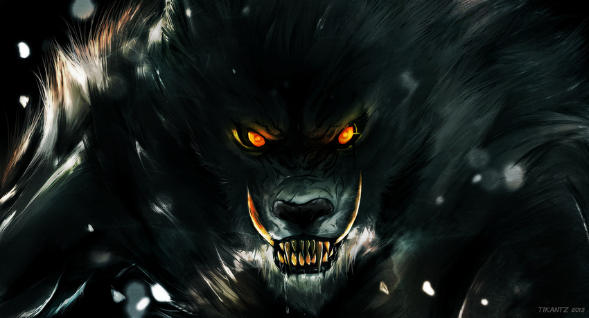 2013 ambiguous_gender angry black_background black_nose bright_eyes canine claws clenched_teeth digital_media_(artwork) fur grey_fur headshot_portrait hi_res looking_at_viewer mammal orange_eyes portrait saliva sharp_teeth simple_background solo teeth tikantz wallpaper were werewolf yellow_teeth