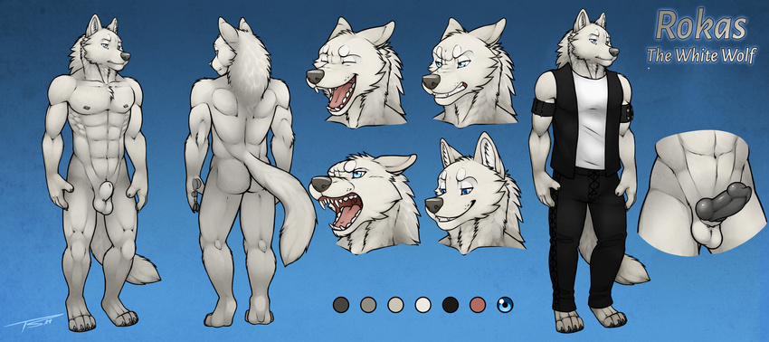 abs absurd_res anatomically_correct anatomically_correct_penis animal_genitalia animal_penis anthro balls biceps canine canine_penis fur hi_res knot male mammal model_sheet muscular nipples nude pattern_background pecs penis rokas sheath simple_background solo standing tsaiwolf white_fur wolf