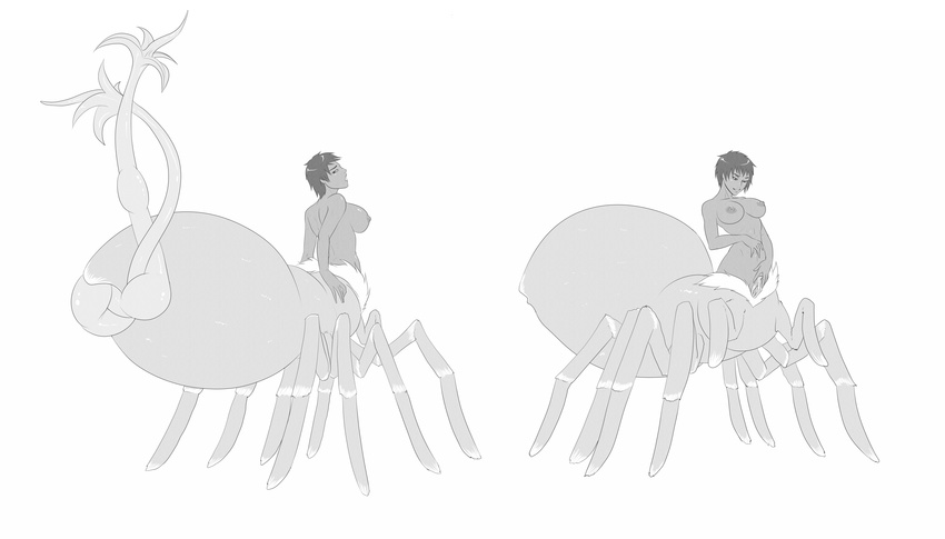 absurd_res ada_carlia arachnid arthropod breasts dark_skin drider faux_drider female hair hi_res nude oo_sebastian_oo ovipositor pussy simple_background solo spider white_background