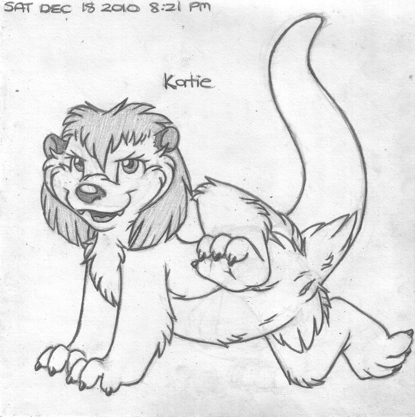 absurd_res all_fours anthro barefoot cub cute_fangs digitigrade english_text female greyscale grin hi_res katie_kirster looking_at_viewer mammal mizzyam monochrome mustelid naughty_face nude open_mouth otter pencil_(artwork) presenting presenting_pussy pussy raised_leg raised_tail side_view signature solo text traditional_media_(artwork) young