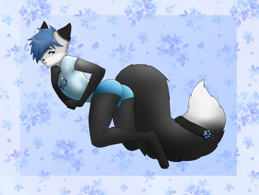 2015 anthro bent_over blue_eyes blue_hair blush boxer_briefs bulge butt canine clothing cobalt_(foxwerth) digitigrade facial_piercing fox fur genderfluid_symbol girly grey_fur hair kneeling lip_piercing looking_back male mammal multicolored_fur pawpads piercing rococo shirt snakebite_piercing solo symbol underwear white_fur